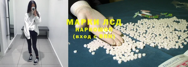 индика Дмитриев