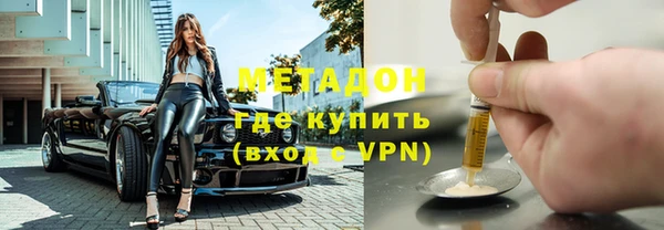 индика Дмитриев