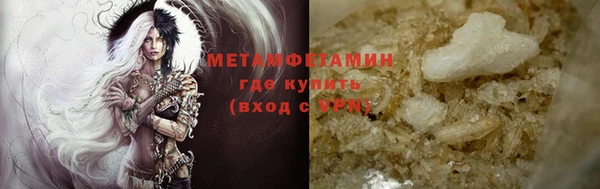 индика Дмитриев