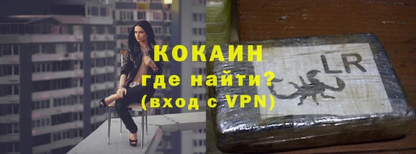 индика Дмитриев