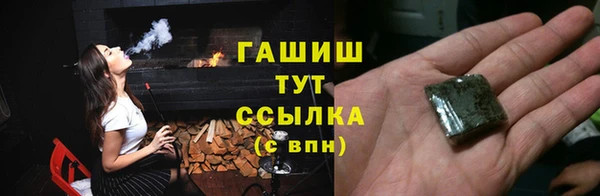 индика Дмитриев