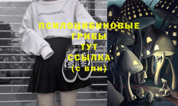 герыч Горнозаводск