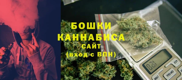 мет Дмитров