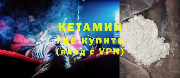 индика Дмитриев
