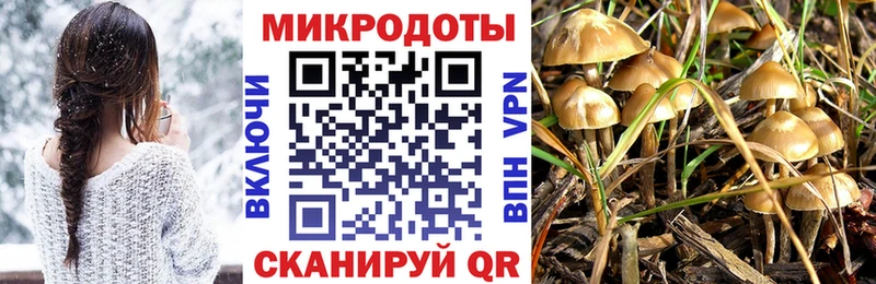 мега   Дятьково  Псилоцибиновые грибы Psilocybine cubensis  дарк нет Telegram  как найти закладки 