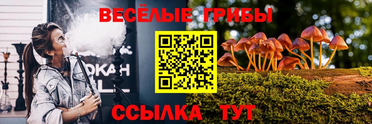 Псилоцибиновые грибы прущие грибы Дятьково