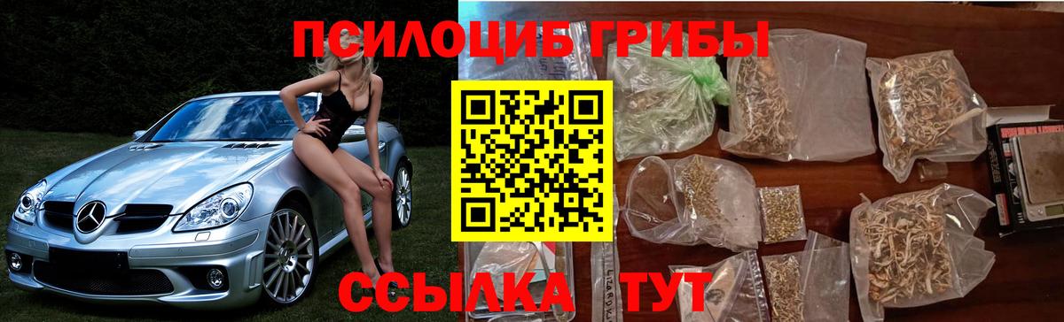 дарнет шоп  Галлюциногенные грибы мухоморы  Дятьково  Вход с VPN  Псилоцибиновые грибы мухоморы 